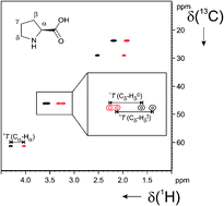 Graphical abstract: Lyotropic liquid crystalline phases from helical β-peptides as alignment media