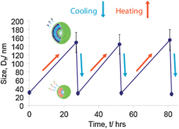 Graphical abstract: Reversible morphological switching of nanostructures in solution