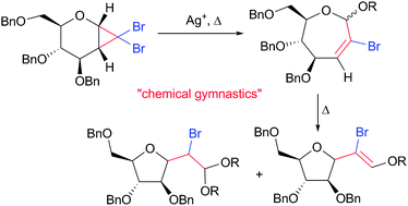 Graphical abstract: Synthesis of C-furanosides from a d-glucal-derived cyclopropane through a ring-expansion/ring-contraction sequence