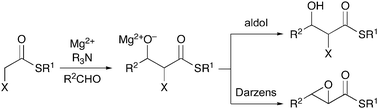 Graphical abstract: Direct carbon–carbon bond formation via soft enolization: aldol addition of α-halogenated thioesters