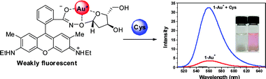 Graphical abstract: Rhodamine–sugar based turn-on fluorescent probe for the detection of cysteine and homocysteine in water