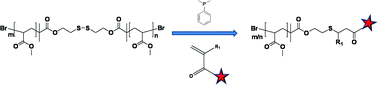 Graphical abstract: A facile route to end-functionalised polymers synthesised by SET-LRP via a one-pot reduction/thiol-ene Michael-type addition