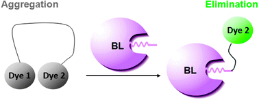 Graphical abstract: Turn-on fluorescence switch involving aggregation and elimination processes for β-lactamase-tag