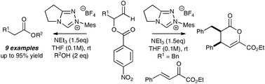 Graphical abstract: α-Aroyloxyaldehydes: scope and limitations as alternatives to α-haloaldehydes for NHC-catalysed redox transformations