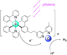 Graphical abstract: Photocatalytic hydrogen production from water in self-assembled supramolecular iridium–cobalt systems