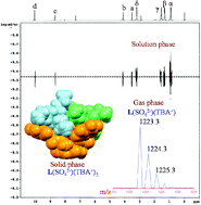 Graphical abstract: Unusual recognition of (n-Bu4N)2SO4 by a cyanuric acid based host via contact ion-pair interactions