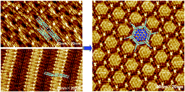 Graphical abstract: Tuning the packing density of host molecular self-assemblies at the solid–liquid interface using guest molecule