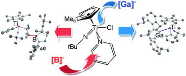 Graphical abstract: Contrasting reactivity of anionic boron- and gallium-containing NHC analogues: E–C vs. E–M bond formation (E = B, Ga)