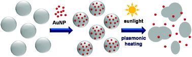 Graphical abstract: Sunlight mediated disruption of peptide-based soft structures decorated with gold nanoparticles