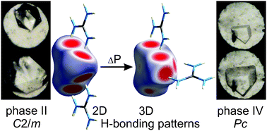 Graphical abstract: Pressure-induced collapse of guanidinium nitrate N–H⋯O bonded honeycomb layers into a 3-D pattern with varied H-acceptor capacity