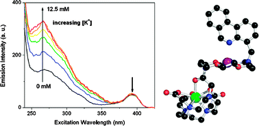 Graphical abstract: A ratiometric probe for the selective time-gated luminescence detection of potassium in water