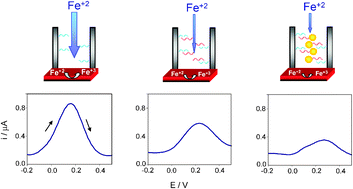 Graphical abstract: Nanoparticle based enhancement of electrochemical DNA hybridization signal using nanoporous electrodes