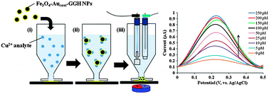 Graphical abstract: ‘Dispersible electrodes’: a solution to slow response times of sensitive sensors