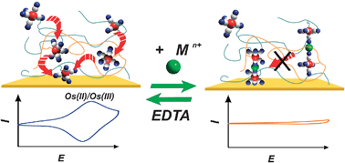 Graphical abstract: Metal-ion responsive redox polyelectrolyte multilayers