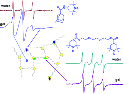 Graphical abstract: Exploring polyethylene glycol/cyclodextrin hydrogels with spin probes and EPR spectroscopy