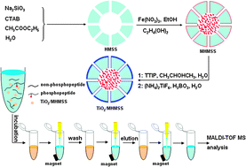 Graphical abstract: Titania coated magnetic mesoporous hollow silica microspheres: fabrication and application to selective enrichment of phosphopeptides