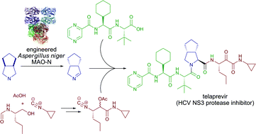 Graphical abstract: A highly efficient synthesis of telaprevir by strategic use of biocatalysis and multicomponent reactions