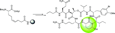 Graphical abstract: Solid phase total synthesis of the 3-amino-6-hydroxy-2-piperidone (Ahp) cyclodepsipeptide and protease inhibitor Symplocamide A