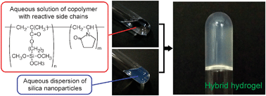 Graphical abstract: Strategy for preparation of hybrid polymer hydrogels using silica nanoparticles as multifunctional crosslinking points