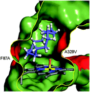 Graphical abstract: Screening of a minimal enriched P450 BM3 mutant library for hydroxylation of cyclic and acyclic alkanes