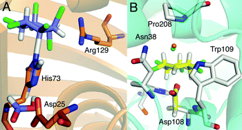 Graphical abstract: Competing SN2 and E2 reaction pathways for hexachlorocyclohexane degradation in the gas phase, solution and enzymes