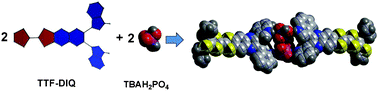 Graphical abstract: Tetrathiafulvalene diindolylquinoxaline: a dual signaling anion receptor with phosphate selectivity