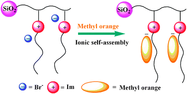 Graphical abstract: New strategy for drastic enhancement of selectivity via chemical modification of counter anions in ionic liquid polymer phase