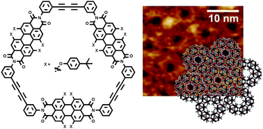 Graphical abstract: Perylene bisimide macrocycles and their self-assembly on HOPG surfaces