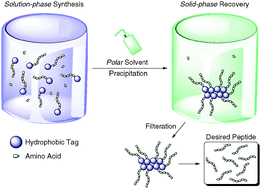 Graphical abstract: A practical solution-phase synthesis of an antagonistic peptide of TNF-α based on hydrophobic tag strategy