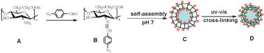 Graphical abstract: One-pot synthesis of biopolymeric hollow nanospheres by photocrosslinking