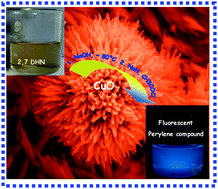 Graphical abstract: Monoclinic CuO nanoflowers on resin support: recyclable catalyst to obtain perylene compound