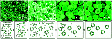 Graphical abstract: A solvent extraction route for CaF2 hollow spheres