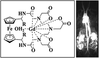 Graphical abstract: Gd-complexes of macrocyclic DTPA conjugates of 1,1′-bis(amino)ferrocenes as high relaxivity MRI blood-pool contrast agents (BPCAs)