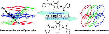 Graphical abstract: Unique ZnII coordination entanglement networks with a flexible fluorinated bis-pyridinecarboxamide tecton and benzenedicarboxylates