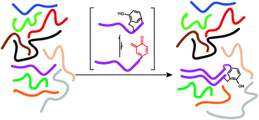 Graphical abstract: Few constraints limit the design of quinone methide-oligonucleotide self-adducts for directing DNA alkylation