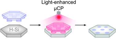 Graphical abstract: Light-enhanced microcontact printing of 1-alkynes onto hydrogen-terminated silicon