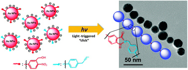 Graphical abstract: Light-triggered covalent assembly of gold nanoparticles in aqueous solution