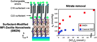 Graphical abstract: Surfactant-modified MFI nanosheets: a high capacity anion-exchanger