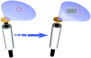 Graphical abstract: An effective nanostructured assembly for ion-selective electrodes. An ionophore covalently linked to carbon nanotubes for Pb2+ determination