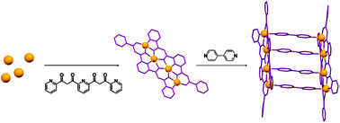 Graphical abstract: Molecular assembly of two [Co(ii)4] linear arrays