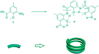 Graphical abstract: Helical polymers based on intramolecularly hydrogen-bonded aromatic polyamides