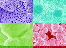 Graphical abstract: Self-formation phenomenon to hierarchically structured porous materials: design, synthesis, formation mechanism and applications