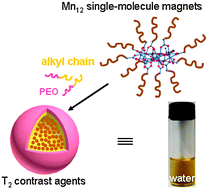 Graphical abstract: Mn12 single-molecule magnet aggregates as magnetic resonance imaging contrast agents