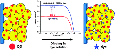 Graphical abstract: CdSe quantum dot (QD) and molecular dye hybrid sensitizers for TiO2 mesoporous solar cells: working together with a common hole carrier of cobalt complexes