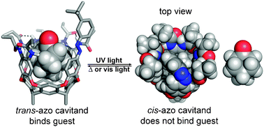 Graphical abstract: A light controlled cavitand wall regulates guest binding