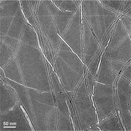 Graphical abstract: Direct imaging of carbon nanotubes spontaneously filled with solvent