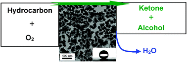 Graphical abstract: Superhydrophobic materials as efficient catalysts for hydrocarbon selective oxidation