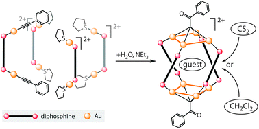 Graphical abstract: Assembly of the Au–diphosphine helical cage molecules via alkynyl–μ4-methylydine ligand transformation
