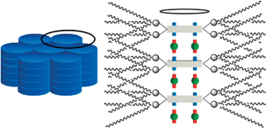 Graphical abstract: From tectons to luminescent supramolecular ionic liquid crystals