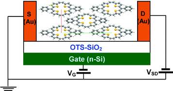 Graphical abstract: New sulfur bridged neutral annulenes. Structure, physical properties and applications in organic field-effect transistors